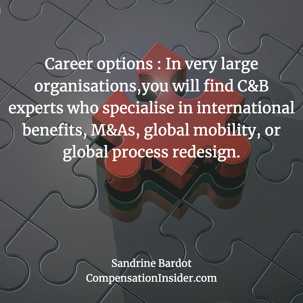In very large orgs, C&B experts can specialise in M&A, benefits management, global mobility and more.